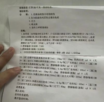 三亚被蛇咬死的美女真冤堂堂三甲医院面对常见蛇伤却毫无办法(图3)