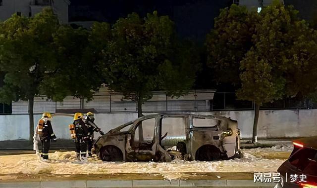 高性能电车频频爆燃厂家只吹速度不提安全老百姓能不能买电车(图2)